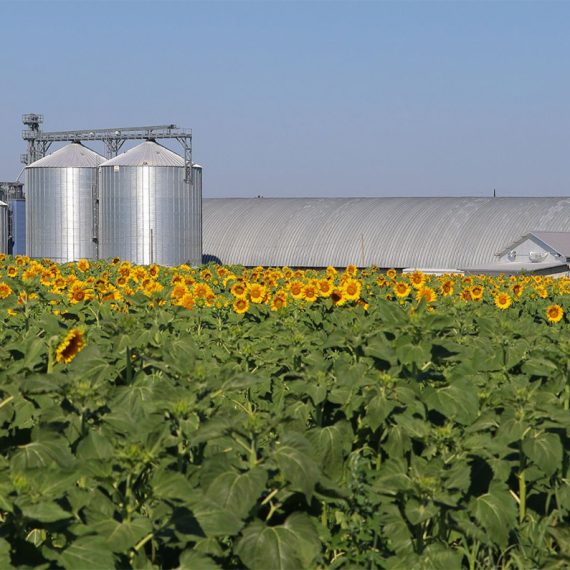 suministro industrial de pellets