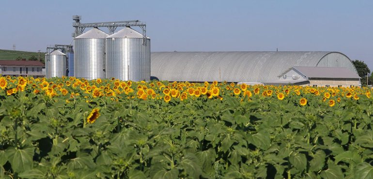 suministro industrial de pellets