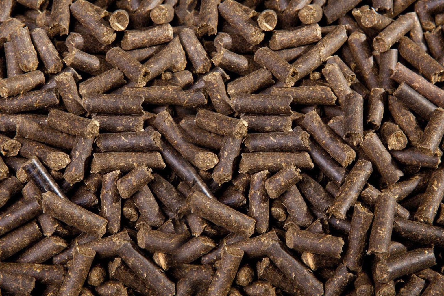 Pellet de orujillo