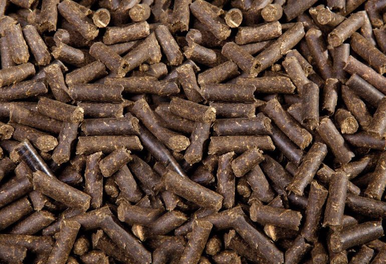 Pellet de orujillo
