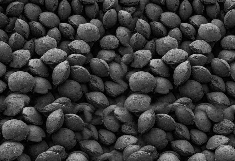 Briqueta de carbón vegetal