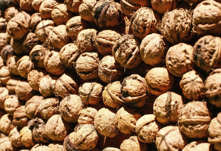 Cáscara de nuez Garzón Green Energy