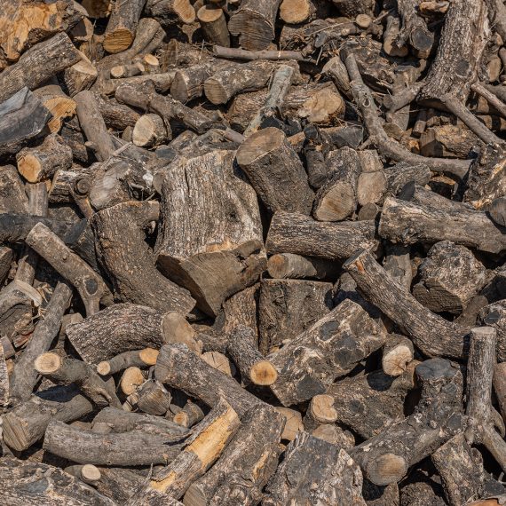 eña de olivo como biomasa agrícola