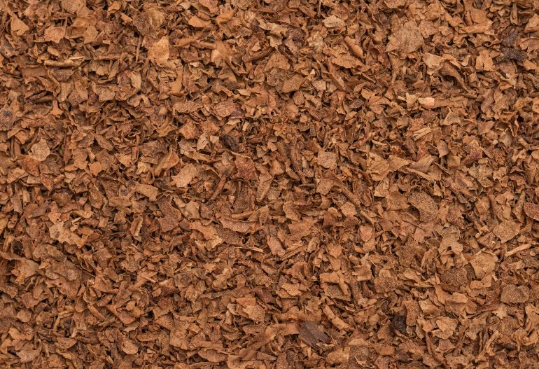 Pulpa lisa de aceituna