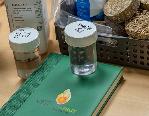 muestras de biomasa agrícola