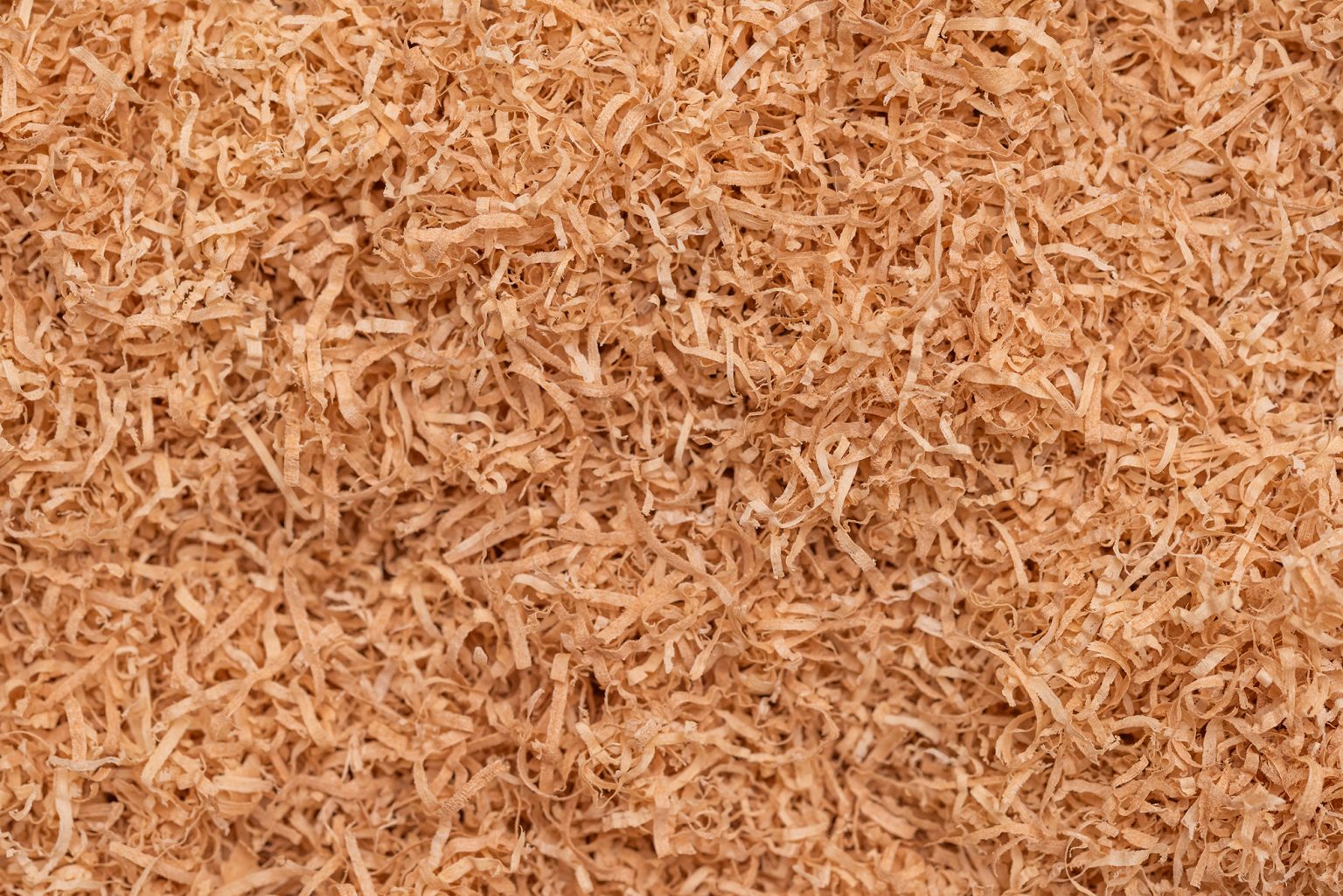 Viruta de madera para embalaje y viruta de madera para cama gallinas y caballos