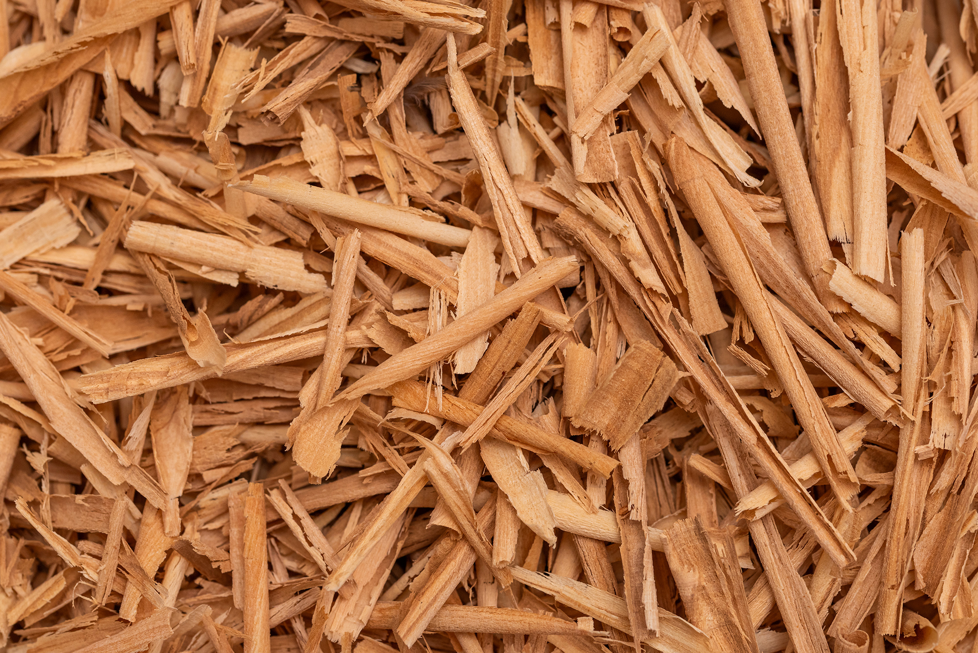 Viruta de madera tipo paja de madera de olivo