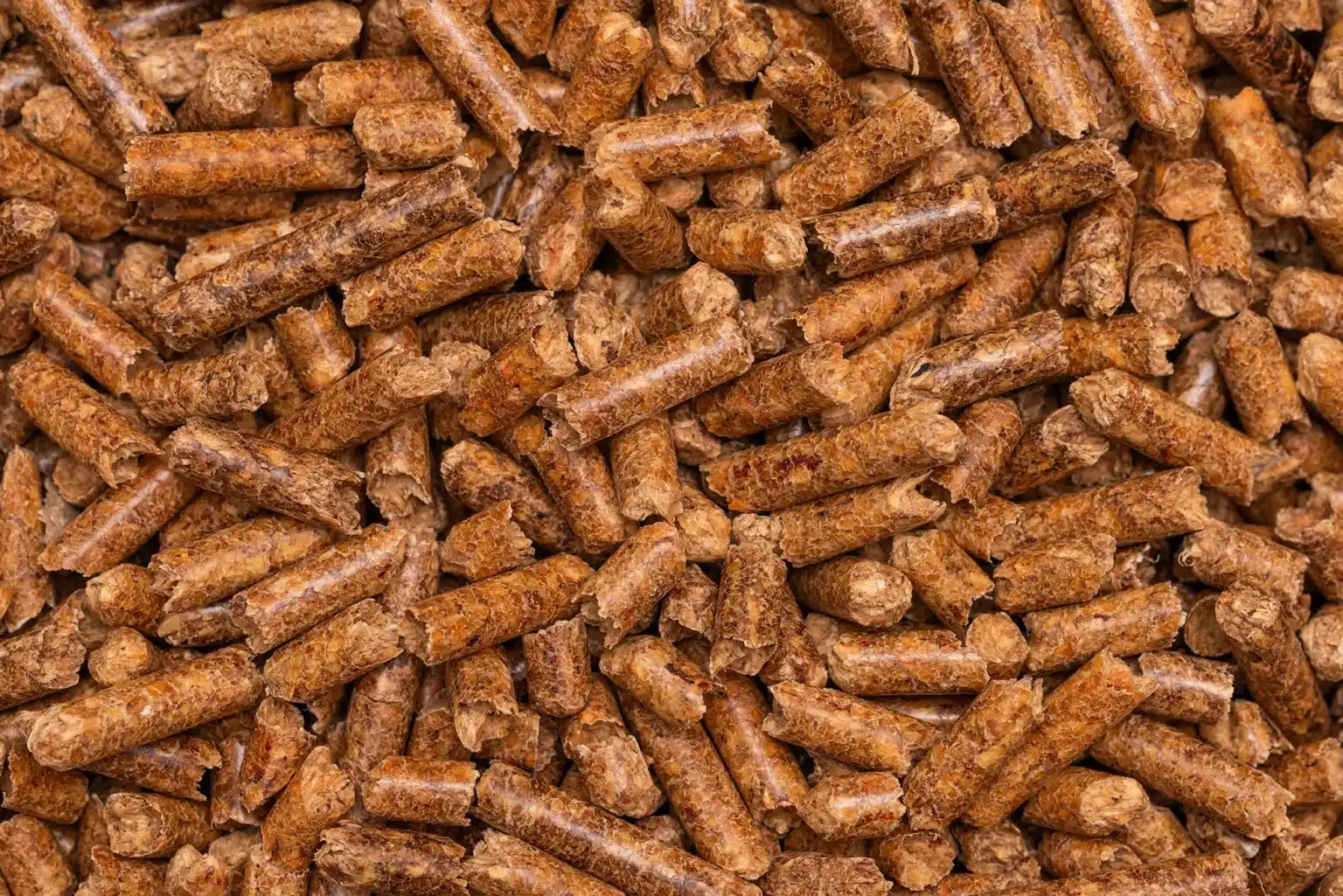 muestra de pellets de madera ENplus A1