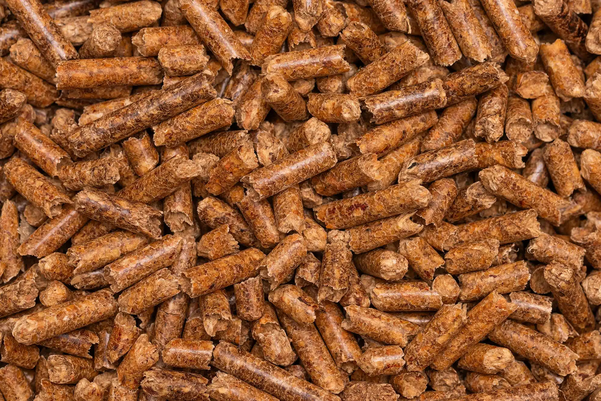 muestra de pellets de madera ENplus A1