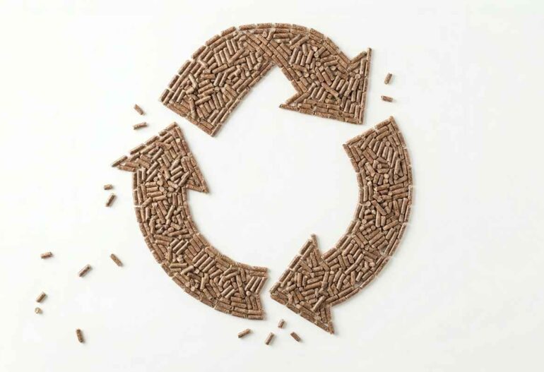 representación gráfica de un círculo con flechas hecho de pellet para ilustrar el articulo alternativas al pellet
