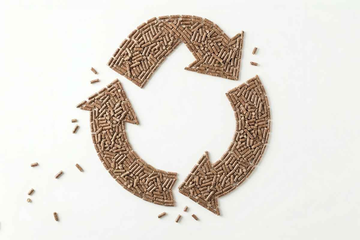 representación gráfica de un círculo con flechas hecho de pellet para ilustrar el articulo alternativas al pellet