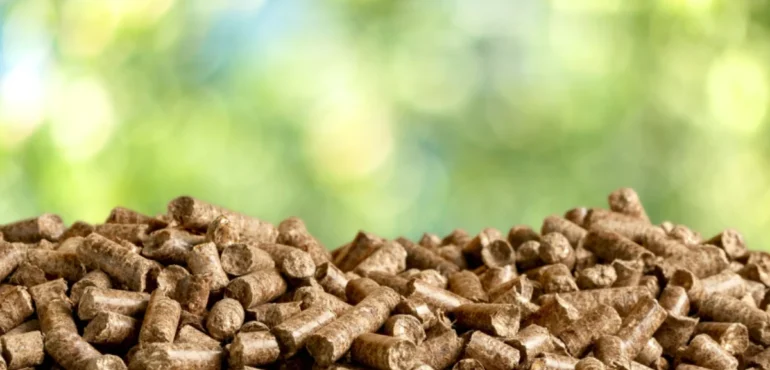 imagen de pellet de manera para ilustrar el artículo de alternativa al pellet
