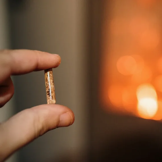 una mano mostrando una unidad de pellet de madera para ilustrar el ahorro de pellet vs gasoil