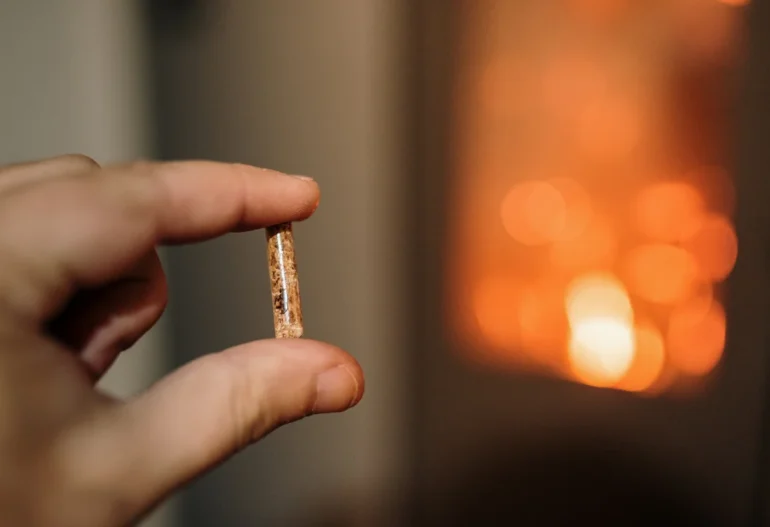 una mano mostrando una unidad de pellet de madera para ilustrar el ahorro de pellet vs gasoil