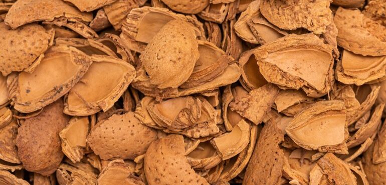 muestra de la biomasa cáscara de almendra molida Garzón Green Energy