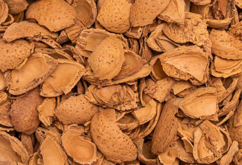 muestra de la biomasa cáscara de almendra molida Garzón Green Energy