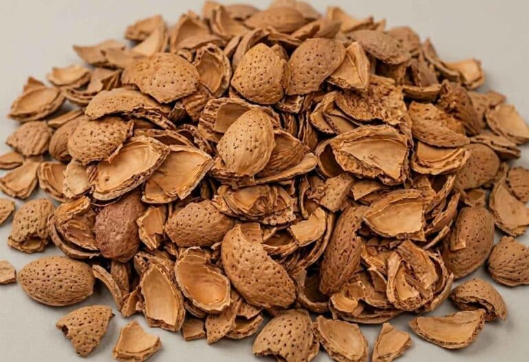 motón de cáscar ade almendra para calefacción