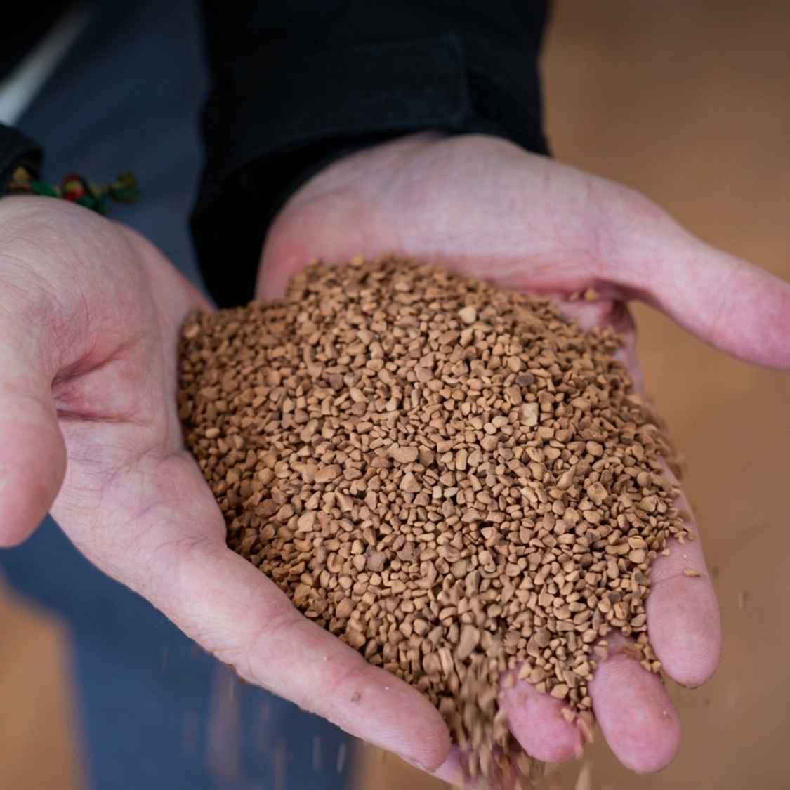 Manos mostrando Hueso de Aceituna Calidad A1