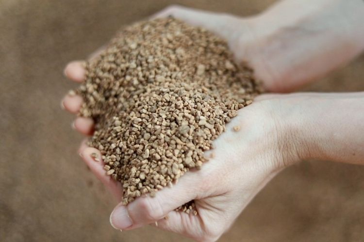 Immagine della produzione nocciolo di oliva: mani che mostrano biomassa A1 pronta per l’uso energetico.